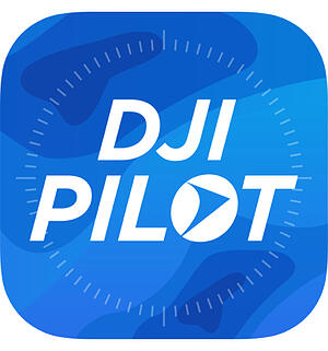 DJI Pilot Logo
